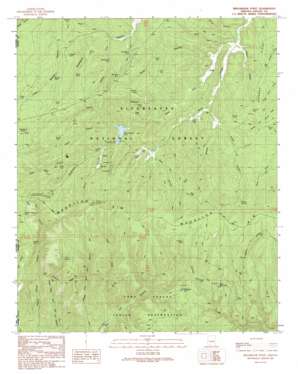 Brookbank Point USGS topographic map 34110c6