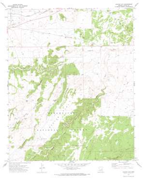 Cactus Flat USGS topographic map 34110d2
