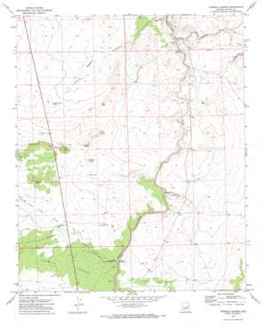 Tenmile Cedars topo map