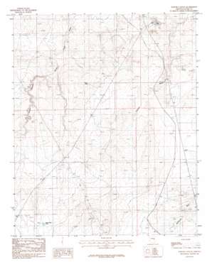 Porter Canyon USGS topographic map 34110g2