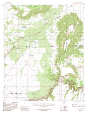 Sunset Pass USGS topographic map 34110g8