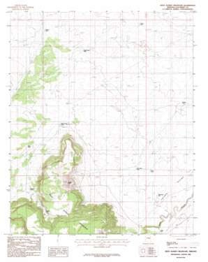 West Sunset Mountain topo map