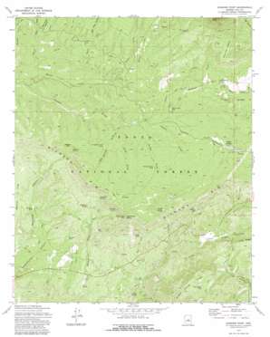 Diamond Point USGS topographic map 34111c2