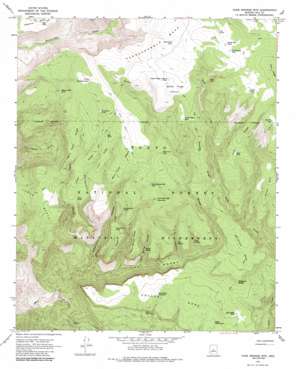 Cane Springs Mountain topo map