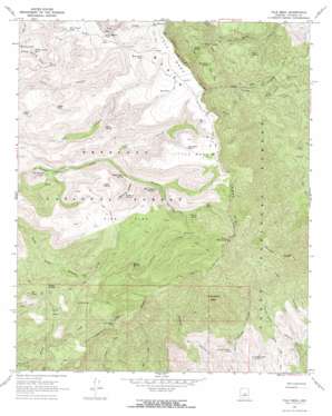 Tule Mesa topo map