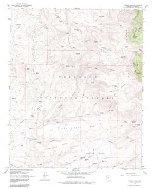 Arnold Mesa topo map