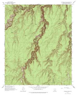 Leonard Canyon USGS topographic map 34111e1