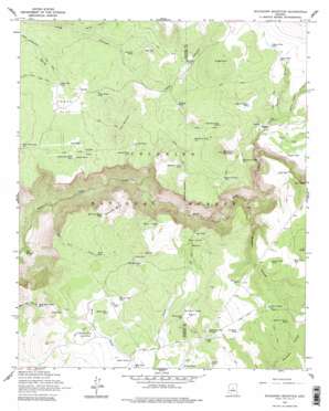 Buckhorn Mountain USGS topographic map 34111e5