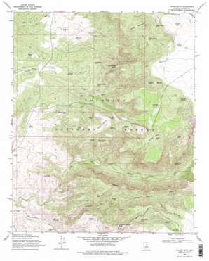 Walker Mountain topo map