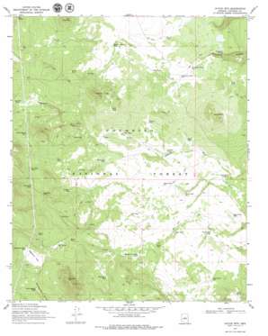 Chavez Mountain West USGS topographic map 34111g3