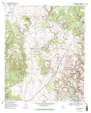 Page Springs topo map