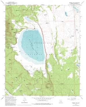 Mormon Lake topo map