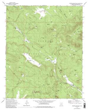 Mormon Mountain topo map