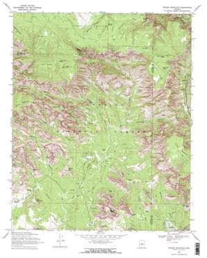 Wilson Mountain USGS topographic map 34111h7