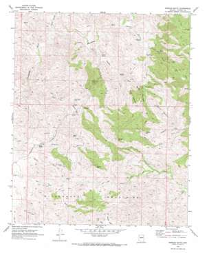 Morgan Butte topo map