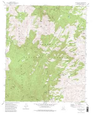 Battle Flat USGS topographic map 34112c3