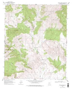Walnut Grove topo map