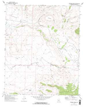 Bismarck Mesa topo map