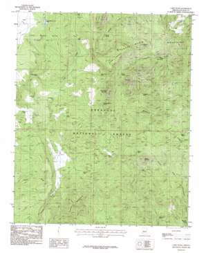 Camp Wood USGS topographic map 34112g8