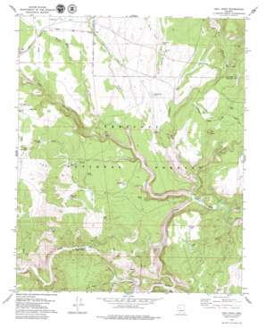 Hell Point topo map