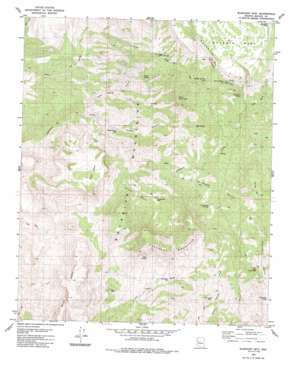 Elephant Mountain USGS topographic map 34113f4