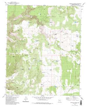 Scratch Canyon USGS topographic map 34113g1
