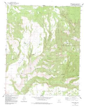 Burro Mesa USGS topographic map 34113g2