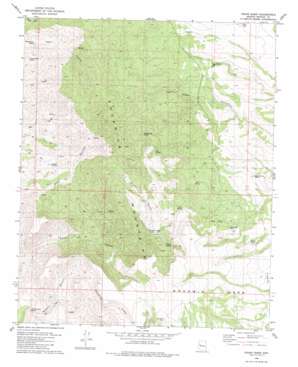 Cedar Basin topo map