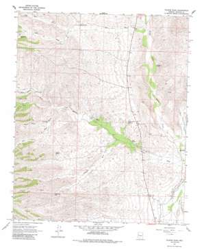 Pilgrim Wash USGS topographic map 34113h6