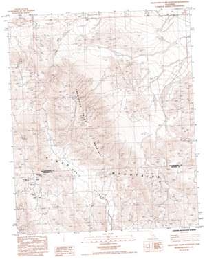 Twentynine Palms Mountain USGS topographic map 34115a8