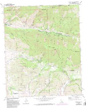 Forest Falls USGS topographic map 34116a8