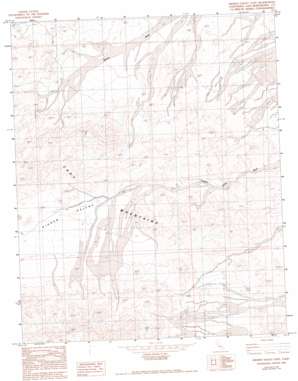Hidden Valley East USGS topographic map 34116h3
