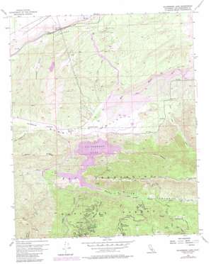 Silverwood Lake USGS topographic map 34117c3
