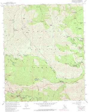 Chilao Flat topo map