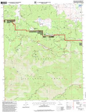 Burnt Peak USGS topographic map 34118f5