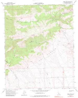 Liebre Twins USGS topographic map 34118h5