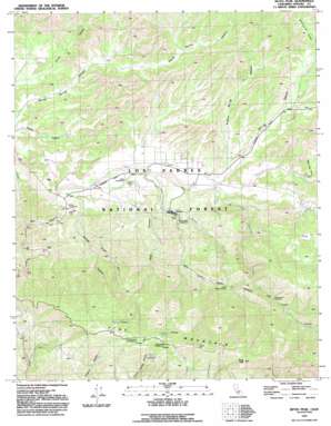 Reyes Peak USGS topographic map 34119f3