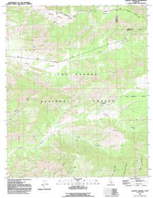 Apache Canyon USGS topographic map 34119g3