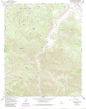 Fox Mountain USGS topographic map 34119g5