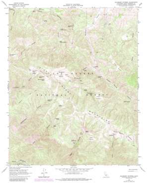 Salisbury Potrero topo map