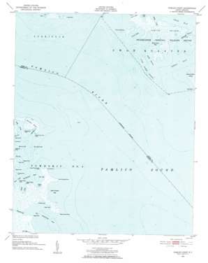 Pamlico Point topo map