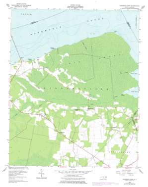 Leonards Point USGS topographic map 35076h4