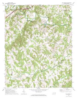 Cool Springs topo map