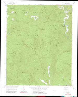 Chestnut Mountain USGS topographic map 35081h7