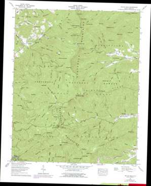 Wayah Bald USGS topographic map 35083b5