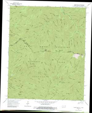 Silers Bald USGS topographic map 35083e5