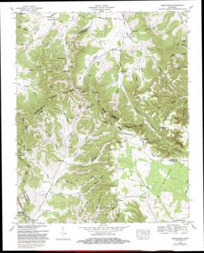 Beechgrove topo map