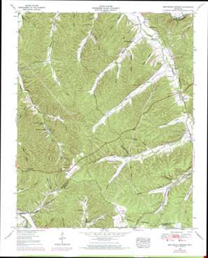 Beaverdam Springs USGS topographic map 35087f5