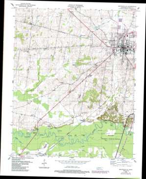 Brownsville topo map