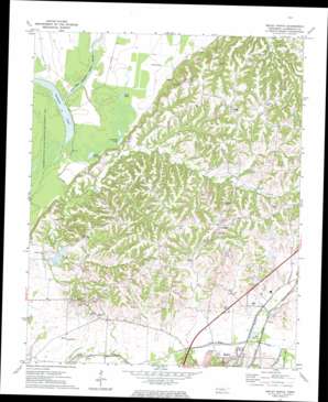 Ripley North USGS topographic map 35089g5